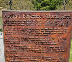 20230529_110955_edited