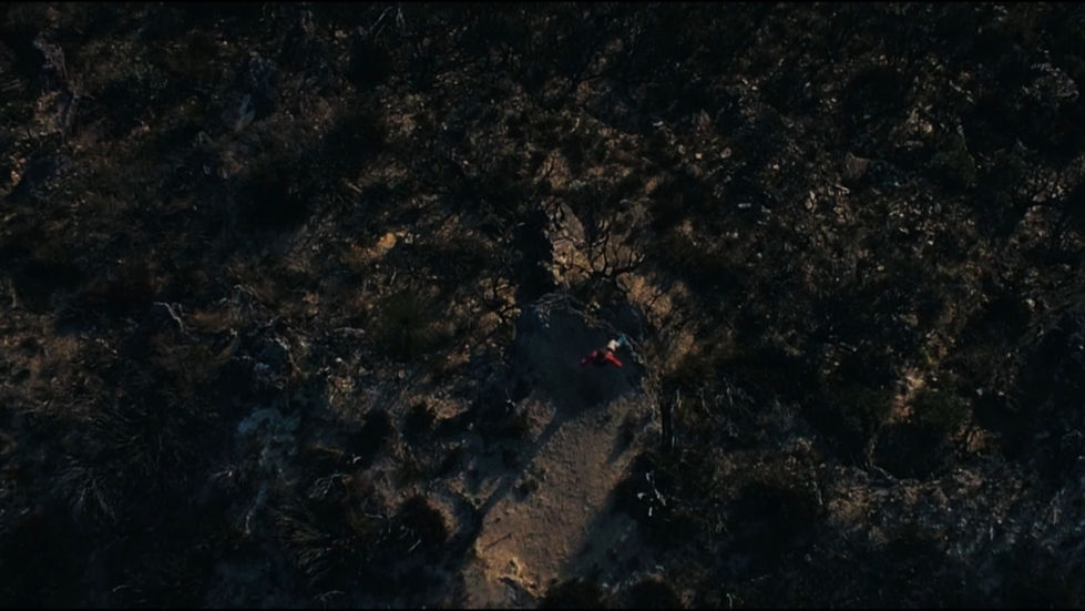 Nicorette Karen_1.10.1.jpg