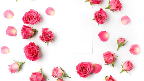 Roses_White_background_Pink_color_555838_3840x2160.jpg