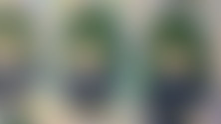 A Sticker Situation!