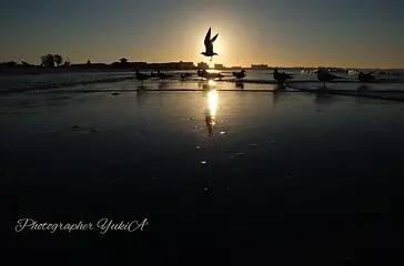 碧い泉からのお知らせ