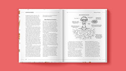 Mushroom Pharmacy interior 3