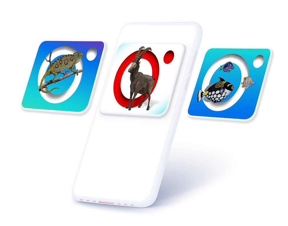 Artboard 10 copy 3_2x.png