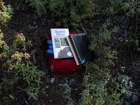 How Documentary Photography Shapes the Long Arc of Climate Communication