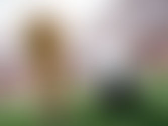 SportsPro's 50 Most Marketable Properties