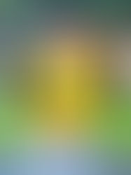 Parker Jameson holds a key to On The Strength