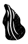 Logo de médecine traditionnelle chinoise  MTC Marseille
