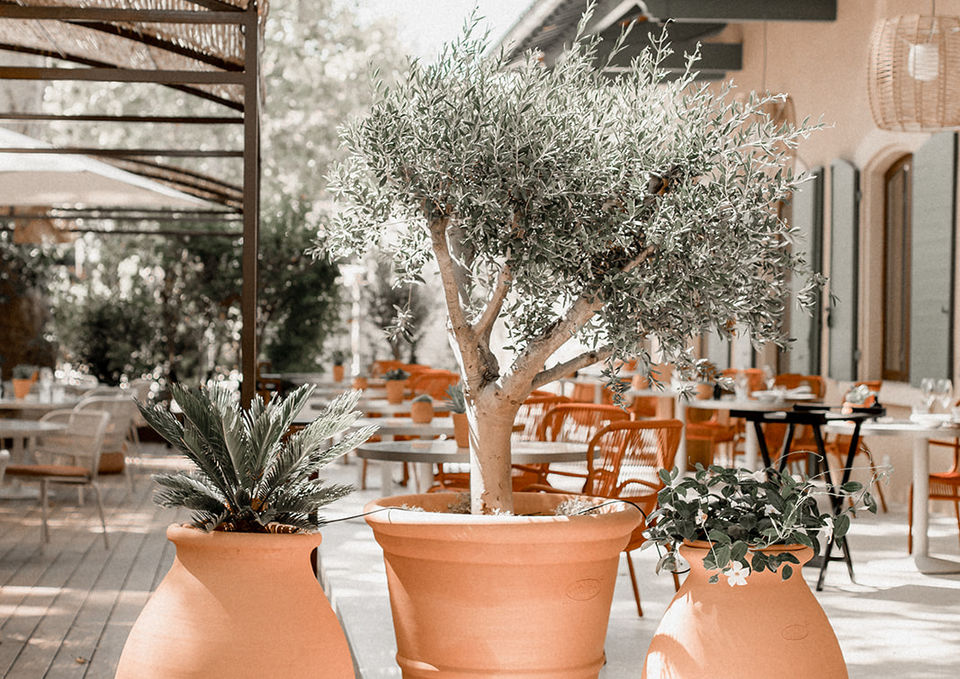 Terrasse méditerranéenne de la Bastide Bourrelly, hôtel 5 étoiles à Cabriès, avec pots Ravel, olivier, mobilier en rotin et ambiance élégante.