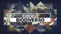 Innovación y biodiversidad, el verdadero oro del Pacífico