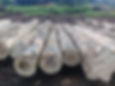 Gmelina Logs