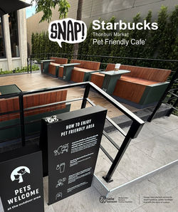 Modern Outdoor Furniture