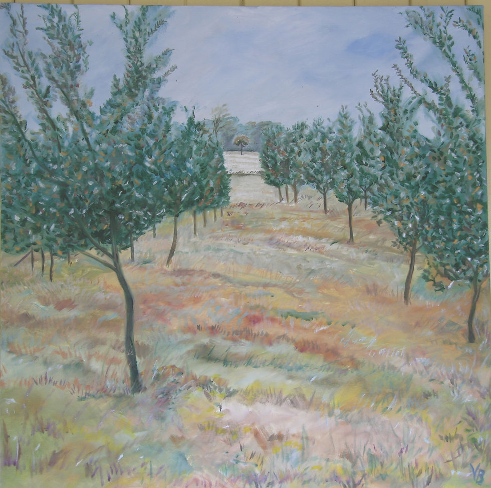 The Olive Grove