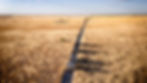 DRY GRASS PLANE.jpg