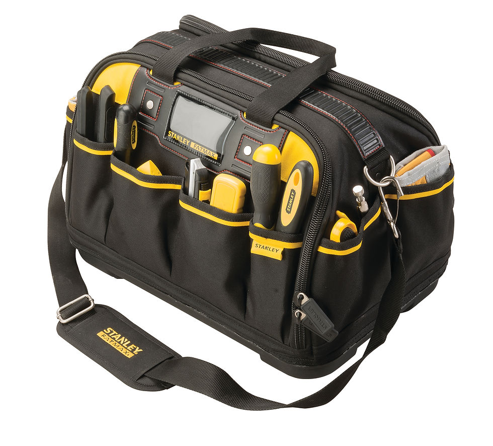 Multi-Access Bag