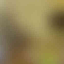 Mike, the Best Bingo Caller Ever