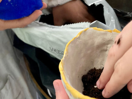 Explosion de couleurs !