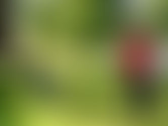 Passer entre les gouttes…