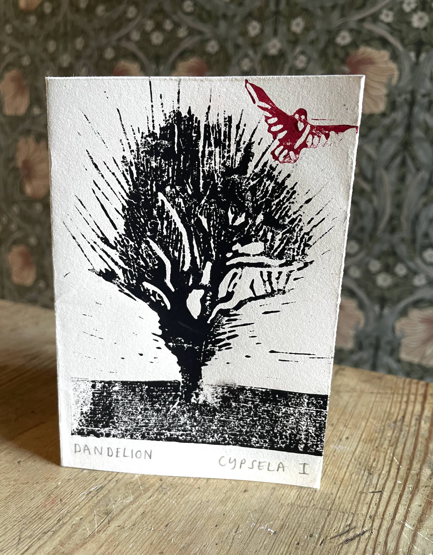 Dandelion Cypsela 1 Zine