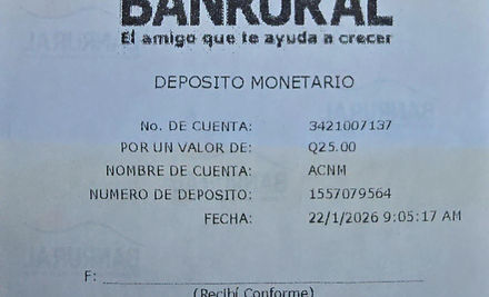 Ejemplo Boleta.jpg