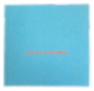 Liz Coats: Active Seeing