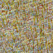 FISHING SERIES, 2016-17