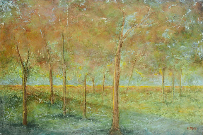 Peaceful forest with ethereal light filtering through the trees golden haze
