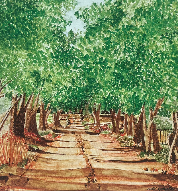 Open Road a tree lined path, canopy of rich Green trees