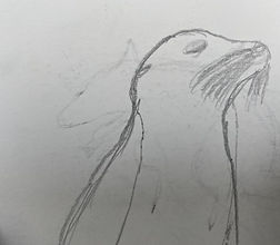 WhatsApp Image 2021-11-17 at 15.55.49 (12).jpeg