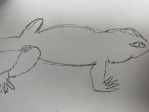 WhatsApp Image 2021-11-17 at 15.55.49 (10).jpeg