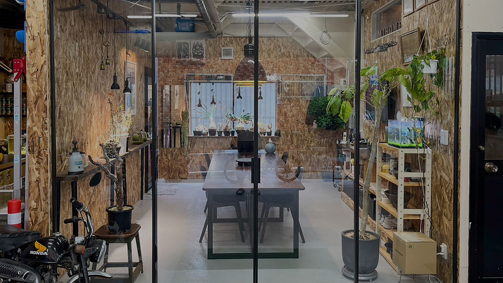 S__24231951 1_edited.jpg