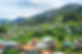 AdobeStock_61332194.jpeg