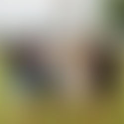 group of female golfers