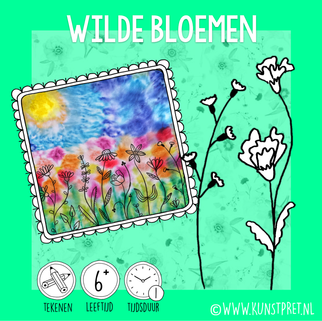 Veld met wilde bloemen