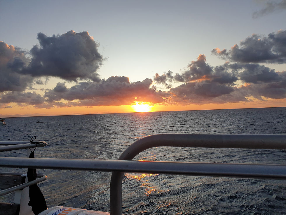 Open Water Diver mit Pro Dive 🌊🐠🤿💙