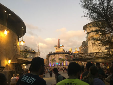 Dreaming of Disney and Sunsets