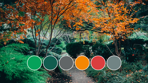 Renk Paleti Oluştururken Hayat Kurtaran 3 Ücretsiz Araç