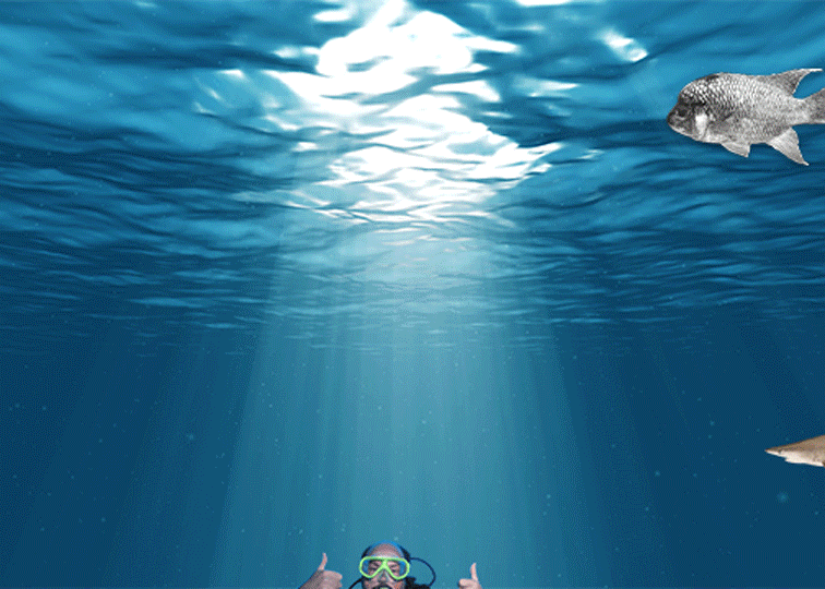 scuba.gif