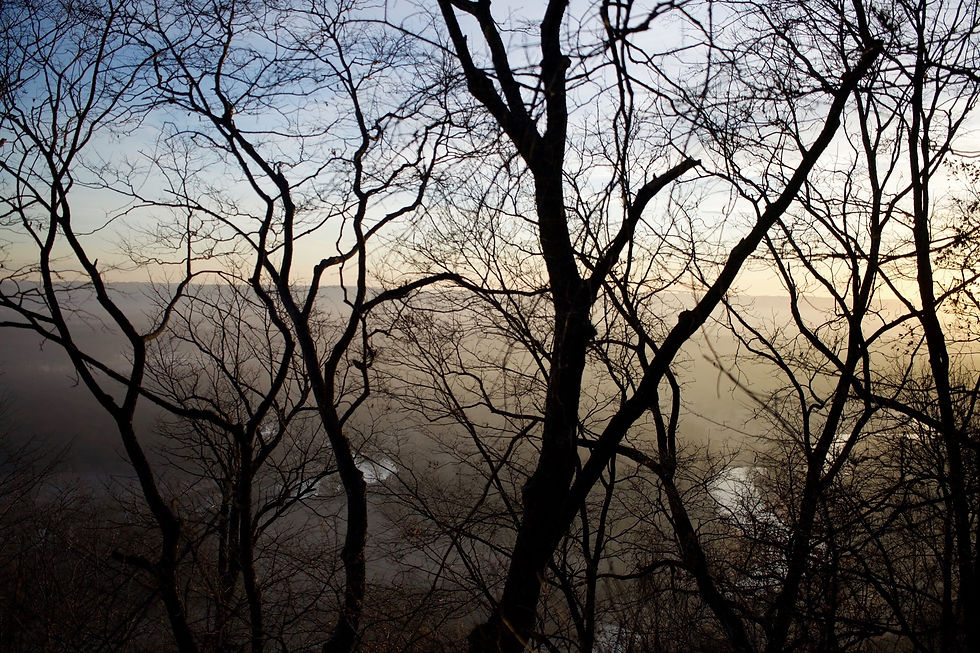 Morning Light