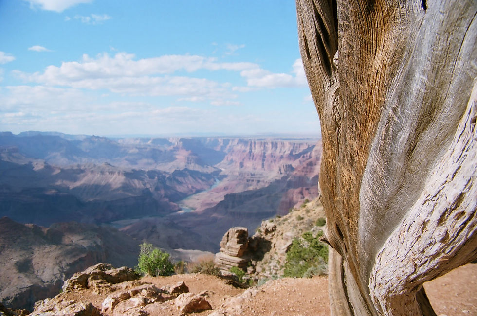 The Grand Canyon