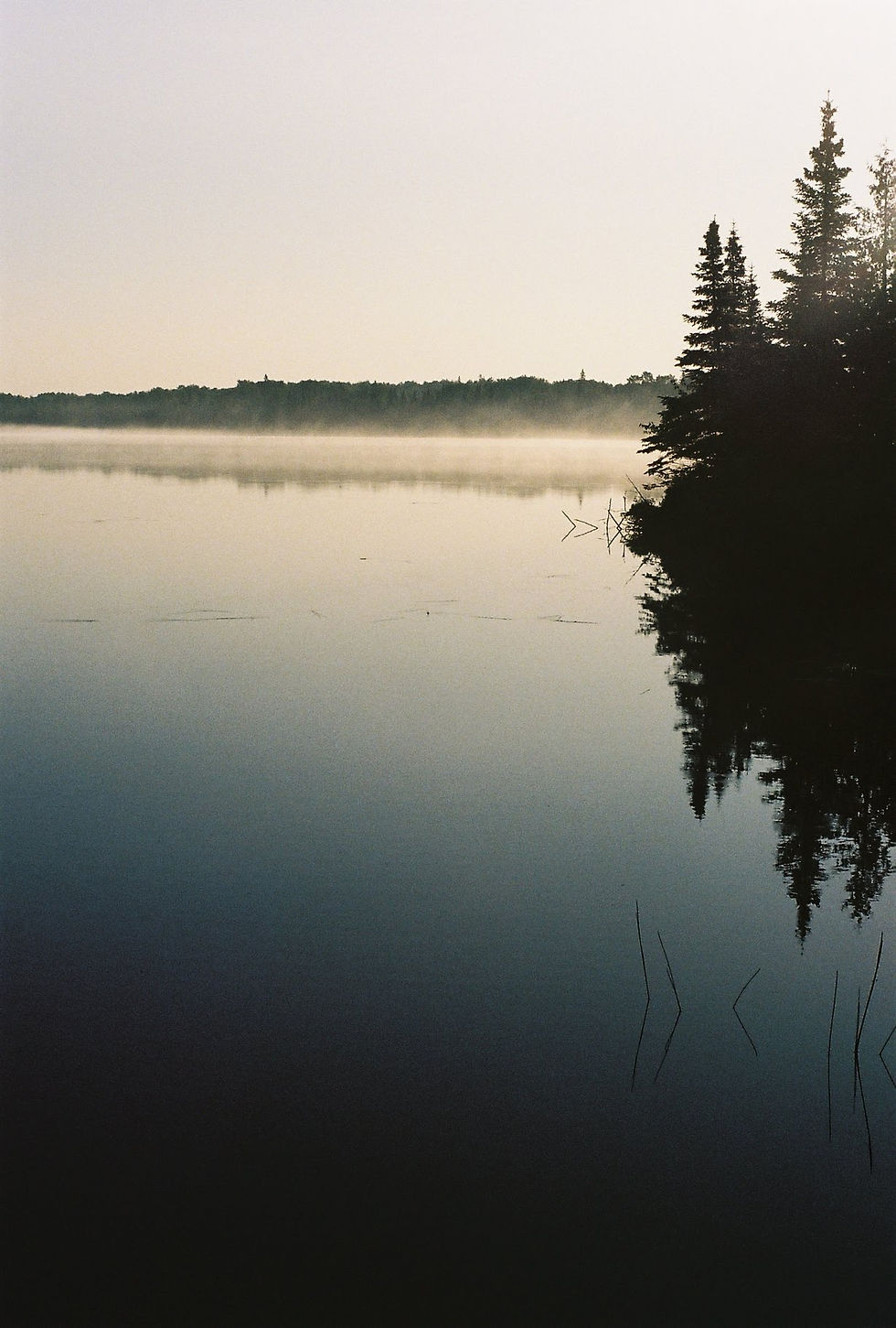 Morning Calm