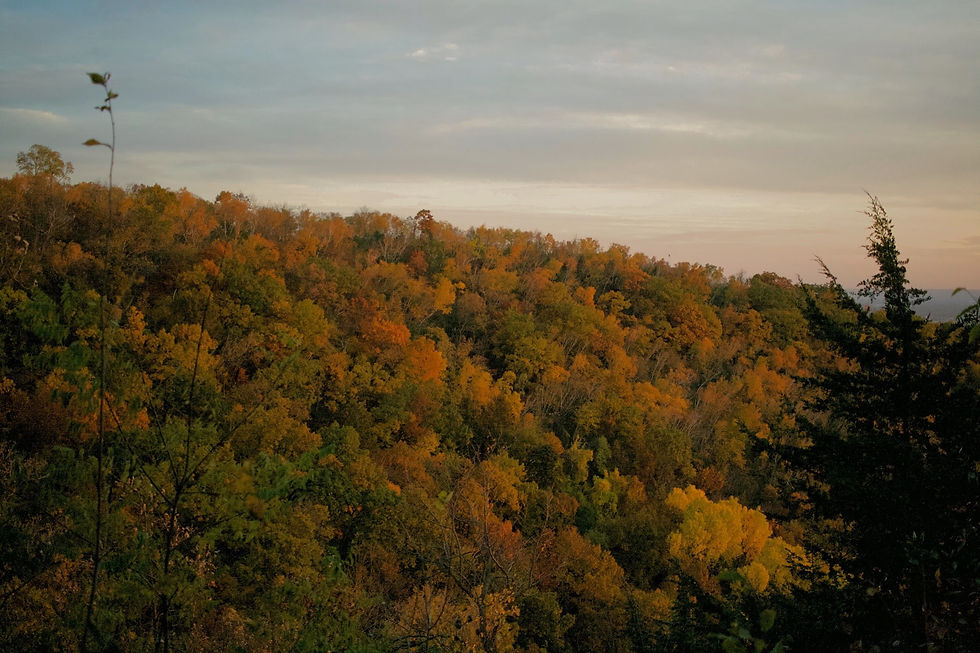 Autumn in La Crosse