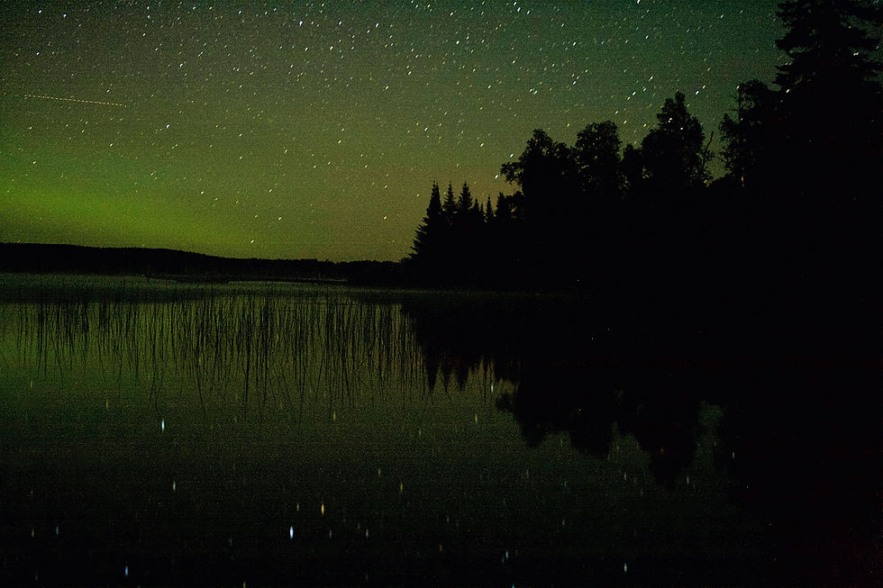 Northern Lights (MN)