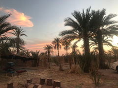 jardin kasbah Mashallah Tagounite.jpg