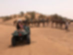 Excursion quad et dromadaires.jpg