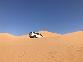 Excursion désert M'Hamid.jpg