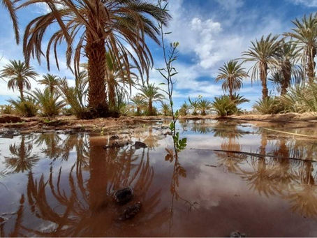 Mon p'tit coin de Paradis