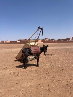 âne porteur de marchandises au souk de Tagounite Maroc  | excursions Légendes berbères.jpg