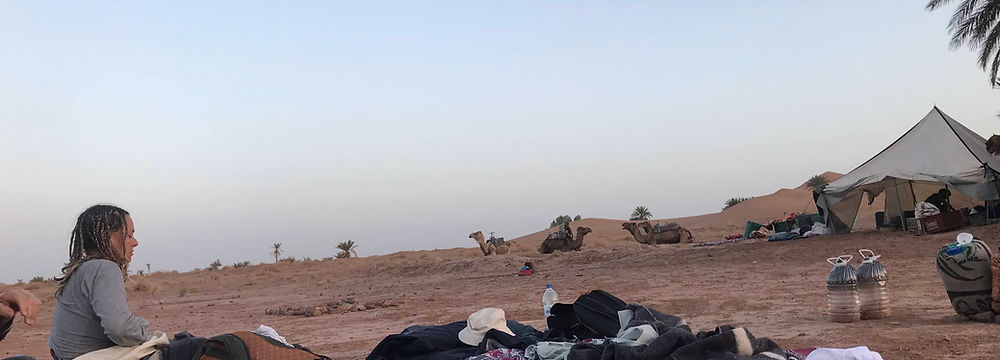 randonnée chamelière entre oasis et désert