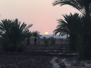 coucher de soleil oasis Nasrate.jpg