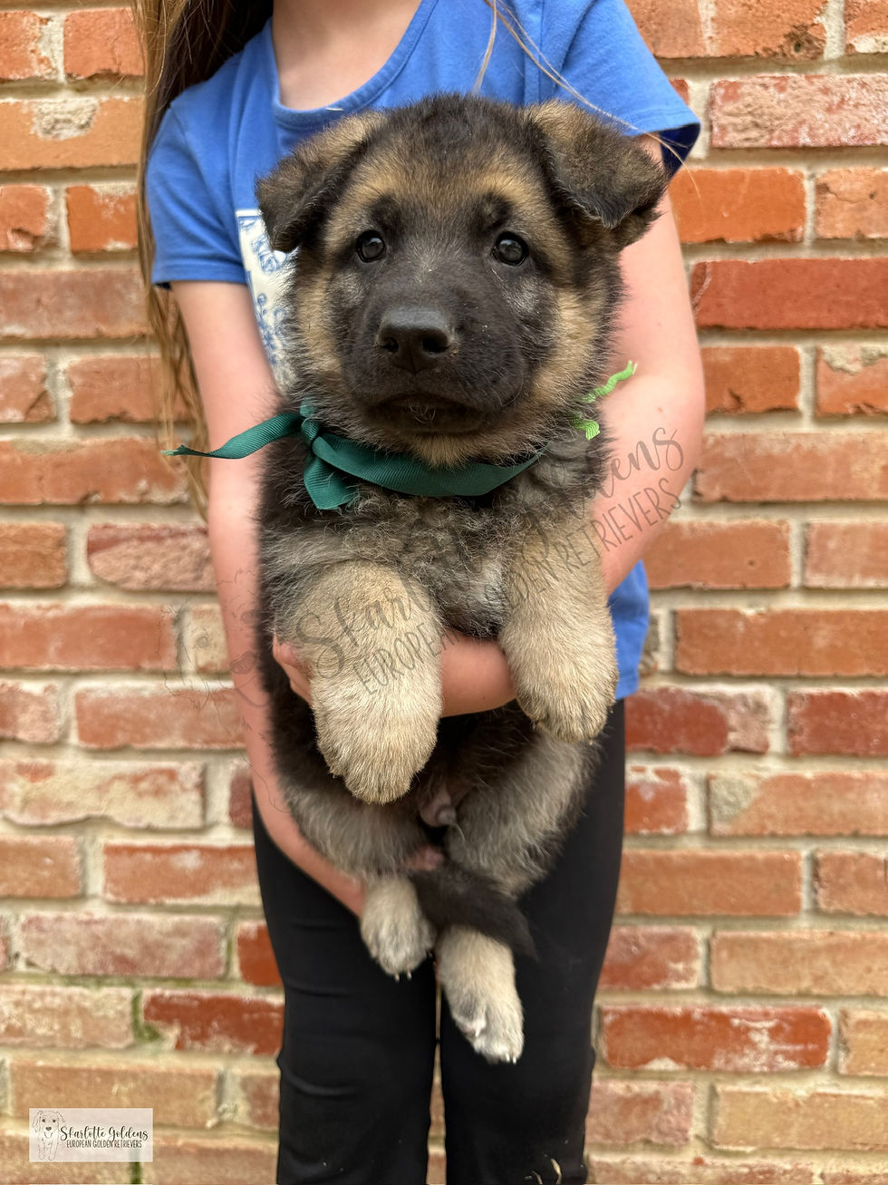 Meet Bear Claw!